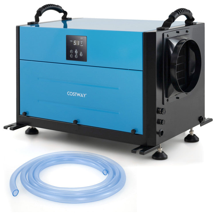 Top 7 Dehumidifiers for a Mold-Free Home in 2025