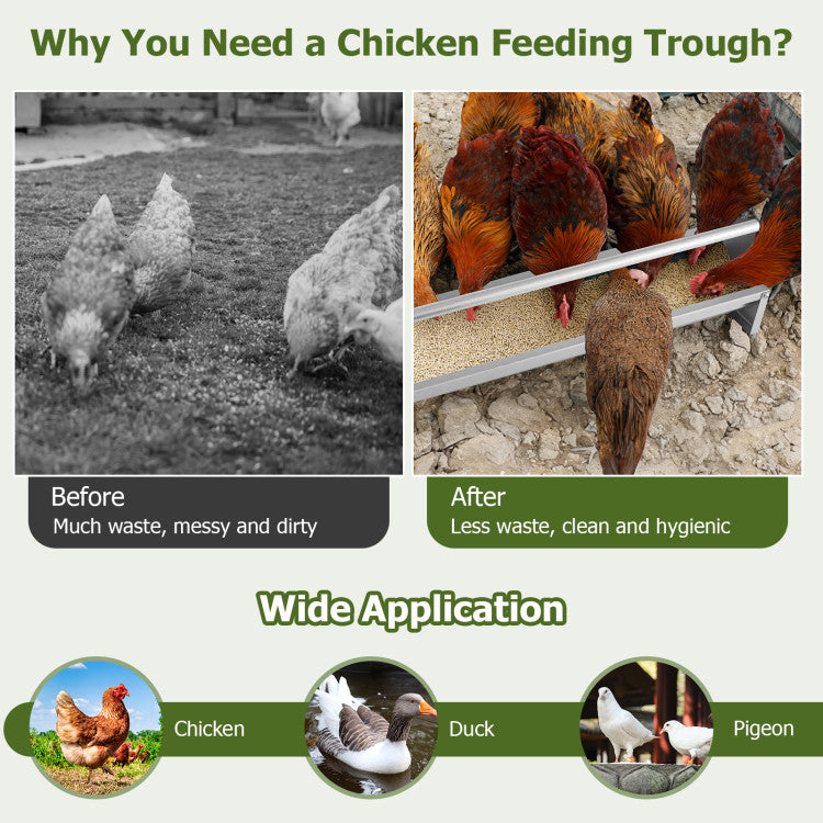 Metal Chicken Feeder Chicken Feeding Trough with Drainage Holes