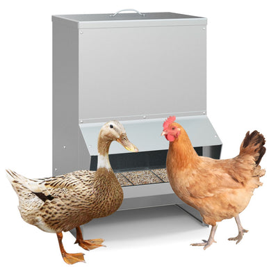 Wall Mount Galvanized Chicken Feeder 50 Pounds Capacity