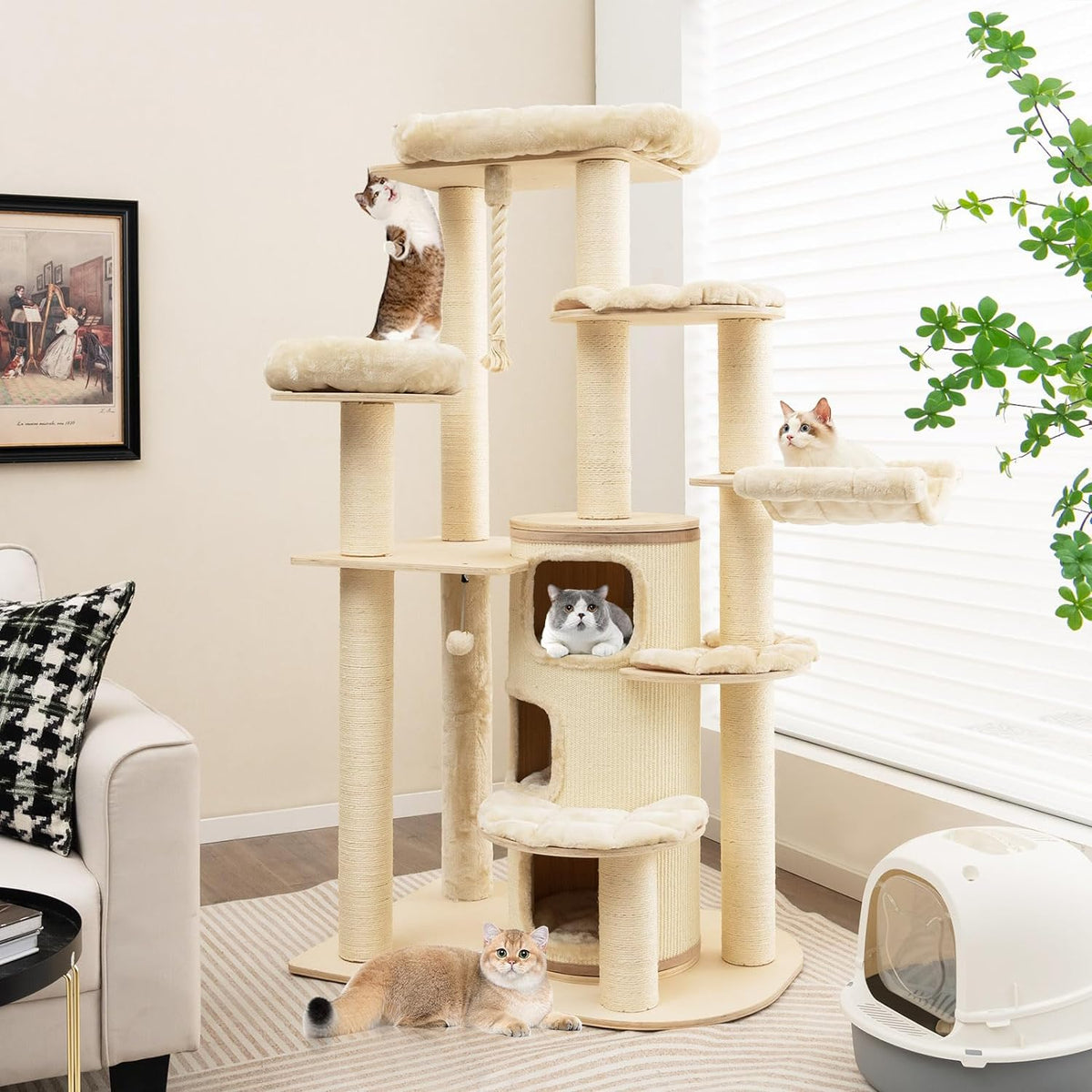 Pet Furniture