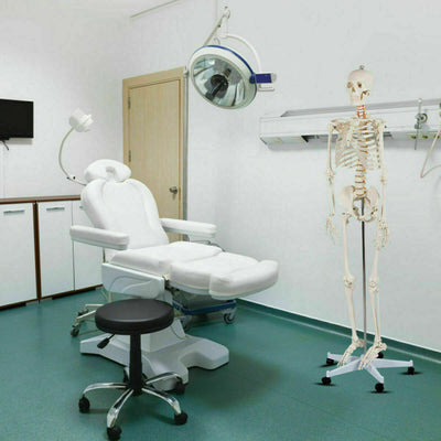 70'' Life Size Medical Skeleton Model Anatomical School Human Skeleton Model with Rolling Stand