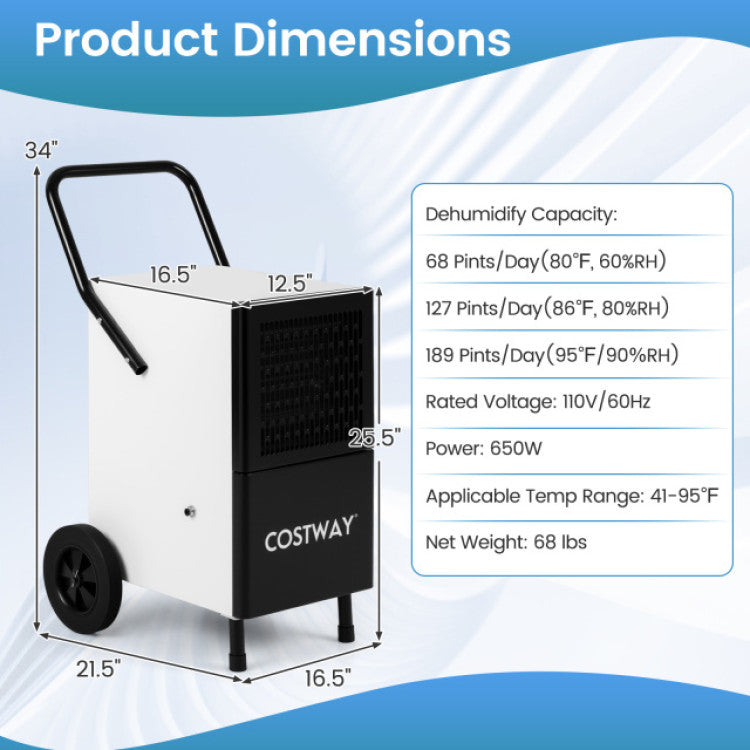 Commercial Dehumidifier and Heavy-Duty Metal Floor Fan Combo