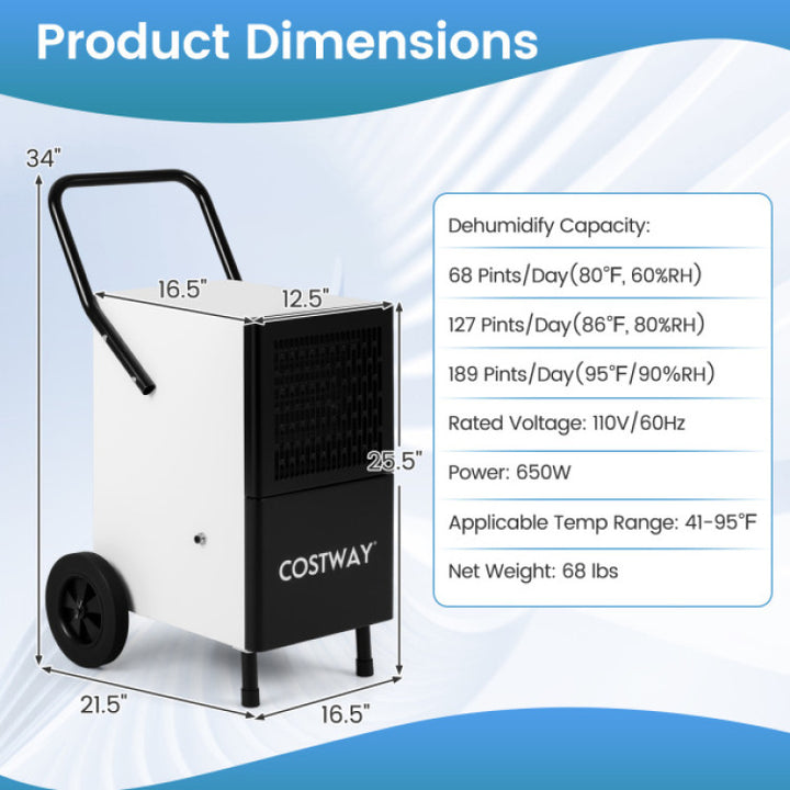 Commercial Dehumidifier and Heavy-Duty Metal Floor Fan Combo