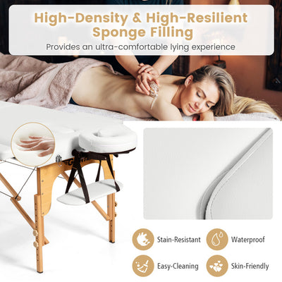 Portable Massage Table Lash Bed Height Adjustable Spa Bed Foldable Facial Salon Tattoo Table with Carry Case