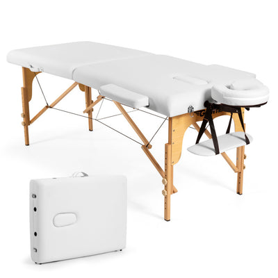 Portable Massage Table Lash Bed Height Adjustable Spa Bed Foldable Facial Salon Tattoo Table with Carry Case