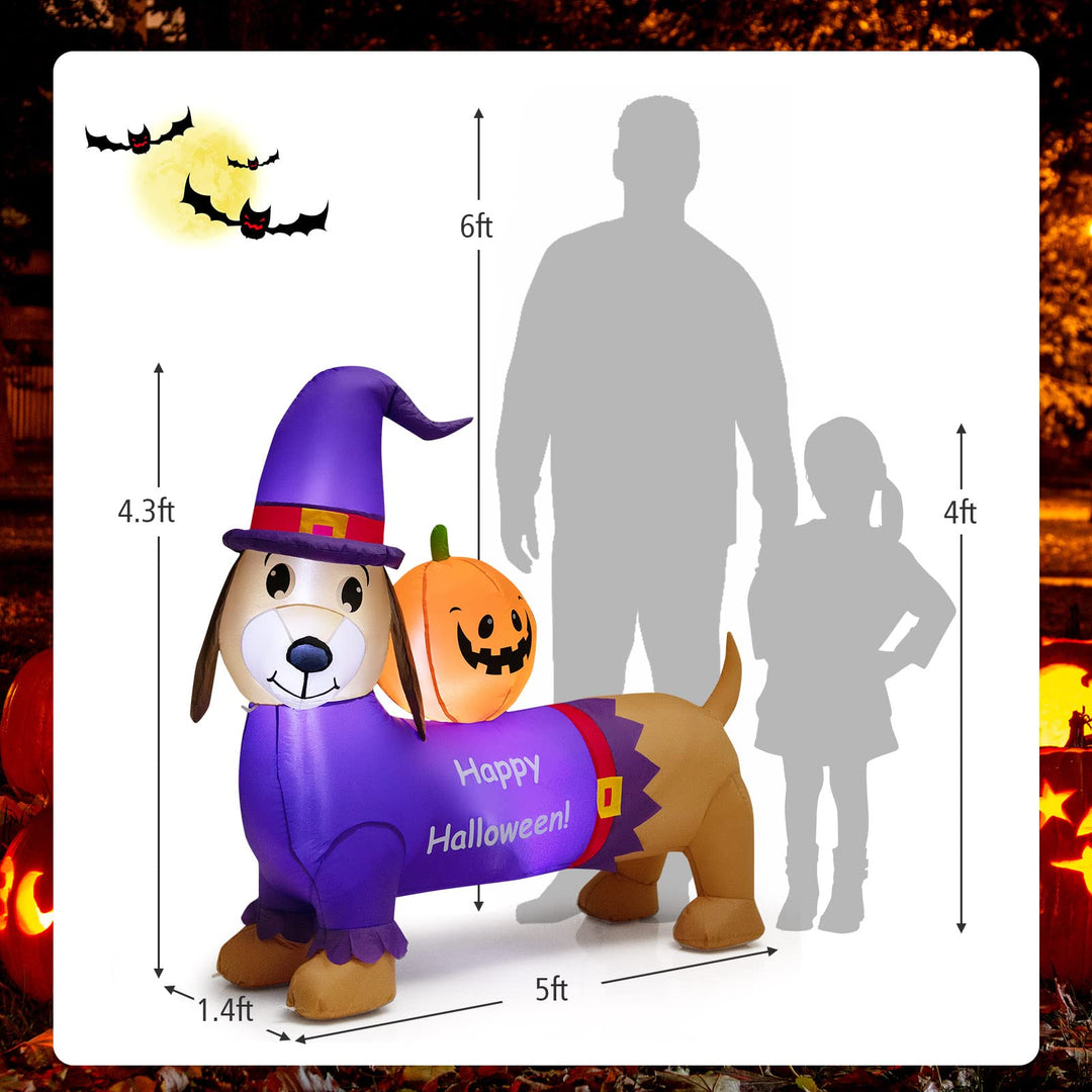 5FT Long Halloween Inflatable Dachshund Dog, Blow Up Outdoor Wiener Dog with Pumpkin &amp; Witch Hat