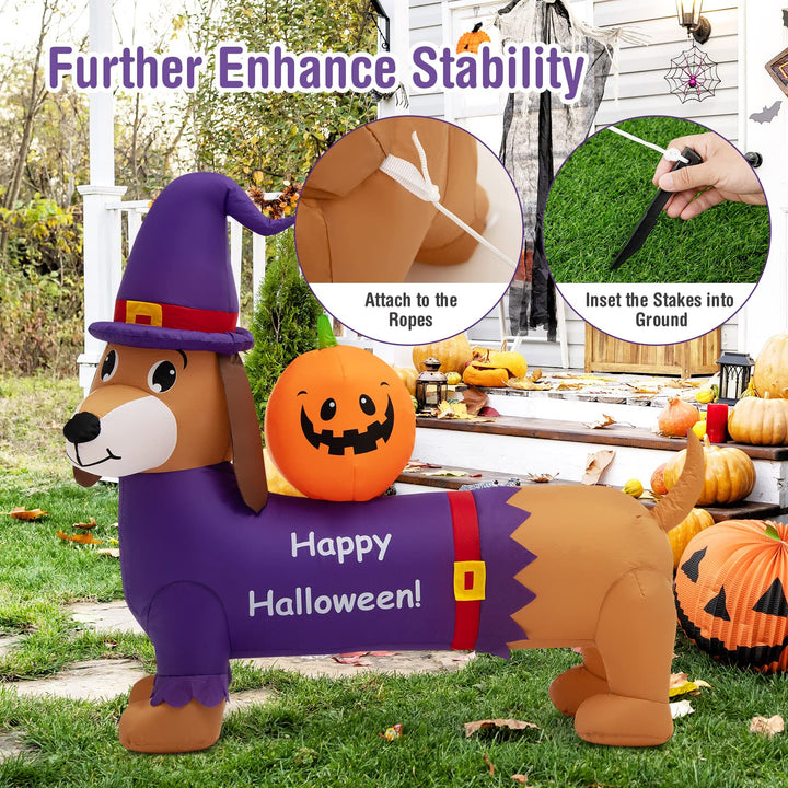 5FT Long Halloween Inflatable Dachshund Dog, Blow Up Outdoor Wiener Dog with Pumpkin &amp; Witch Hat