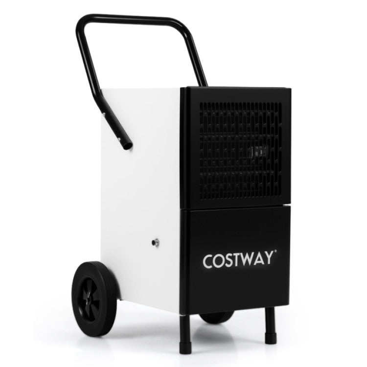 Commercial Dehumidifier and Heavy-Duty Metal Floor Fan Combo