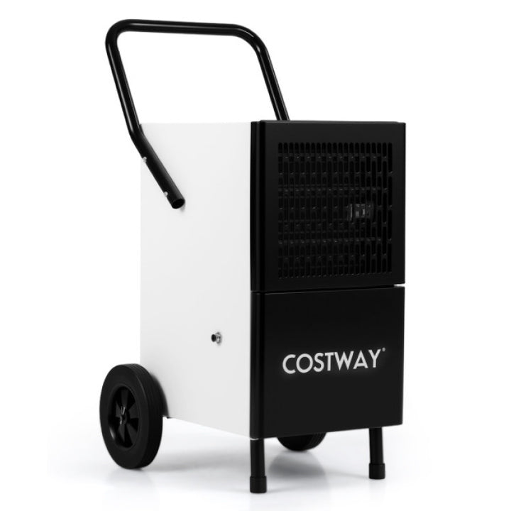 Commercial Dehumidifier and Heavy-Duty Metal Floor Fan Combo