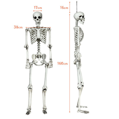 5.4 Feet Halloween Skeleton Life Size Realistic Full Body Hanging