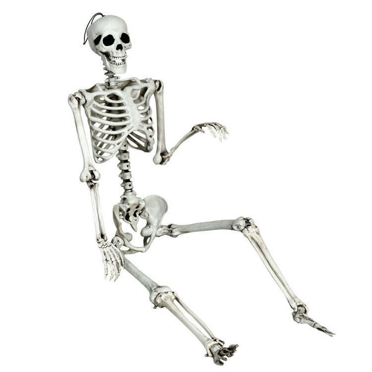 5.4 Feet Halloween Skeleton Life Size Realistic Full Body Hanging