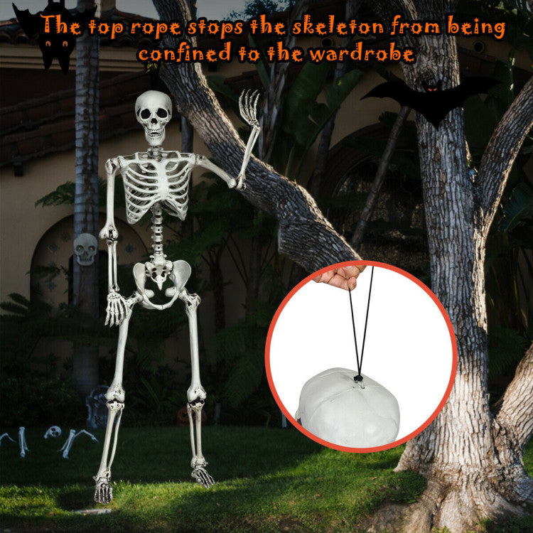 5.4 Feet Halloween Skeleton Life Size Realistic Full Body Hanging